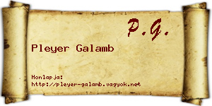 Pleyer Galamb névjegykártya